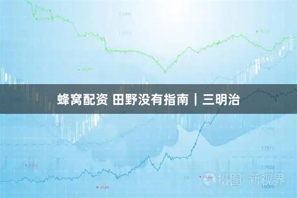 蜂窝配资 田野没有指南｜三明治