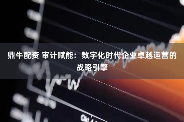 鼎牛配资 审计赋能：数字化时代企业卓越运营的战略引擎
