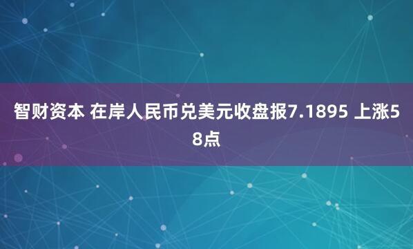 智财资本 在岸人民币兑美元收盘报7.1895 上涨58点
